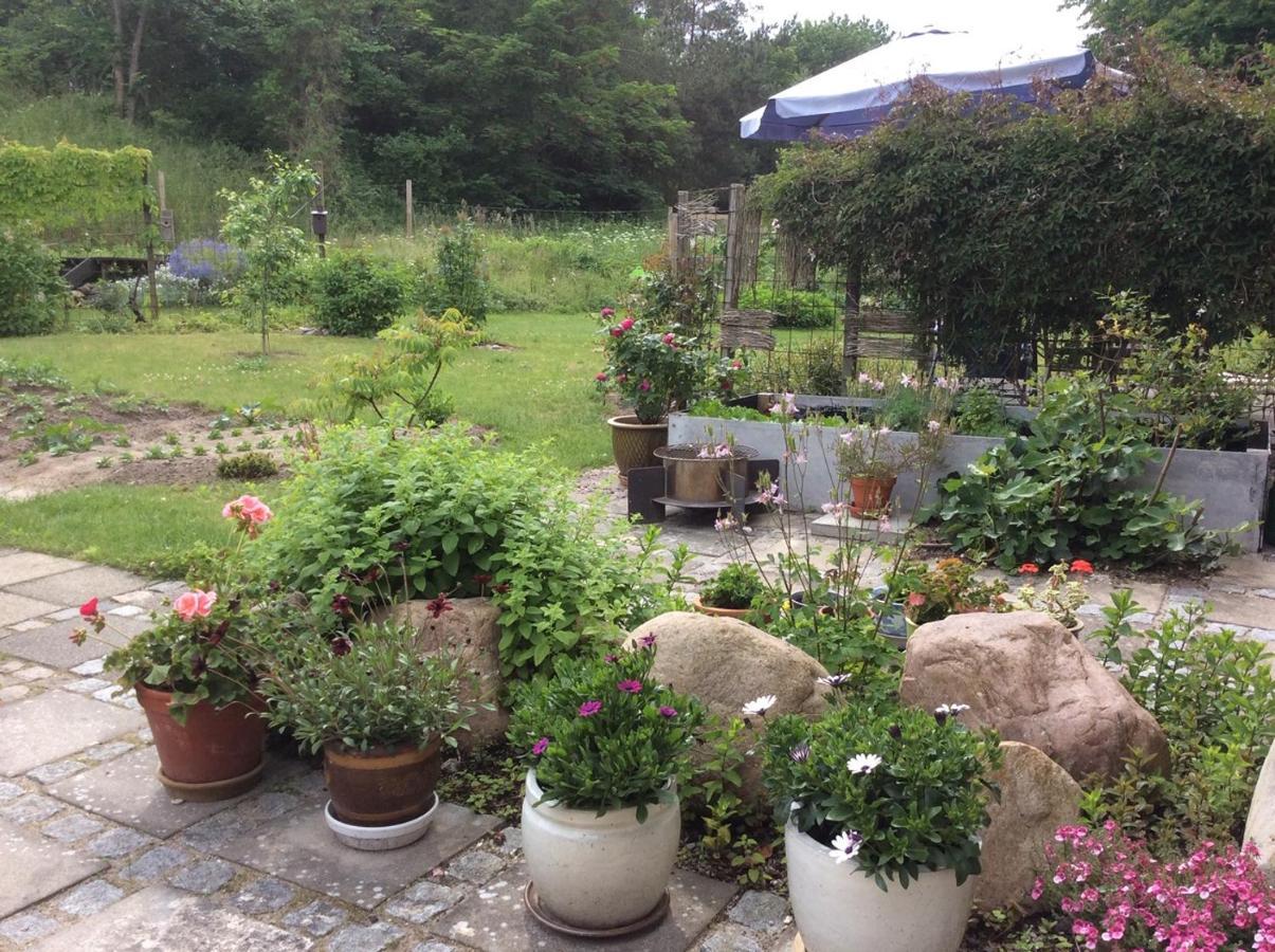 Bergliot Bed & Breakfast Hundested Kültér fotó