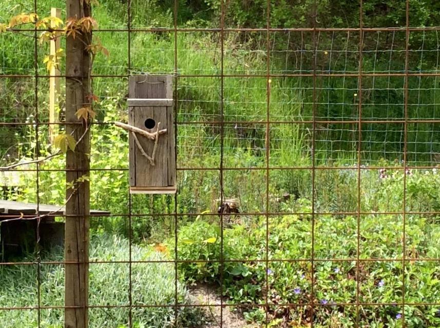 Bergliot Bed & Breakfast Hundested Kültér fotó